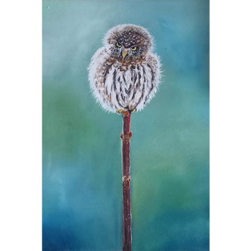 Kuiken sneeuwuil, olie op paneel, 30x20