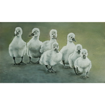 Zwaantjes, olie op paneel, 18x31