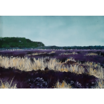 Balloerveld 1, olie op paneel, 21x30