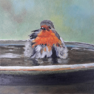 Badend Roodborstje, olie op paneel, 13x13
